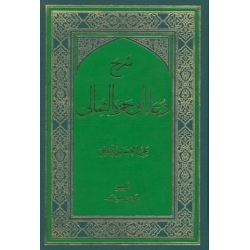 شرح دعاء ابی حمزه الثمالی